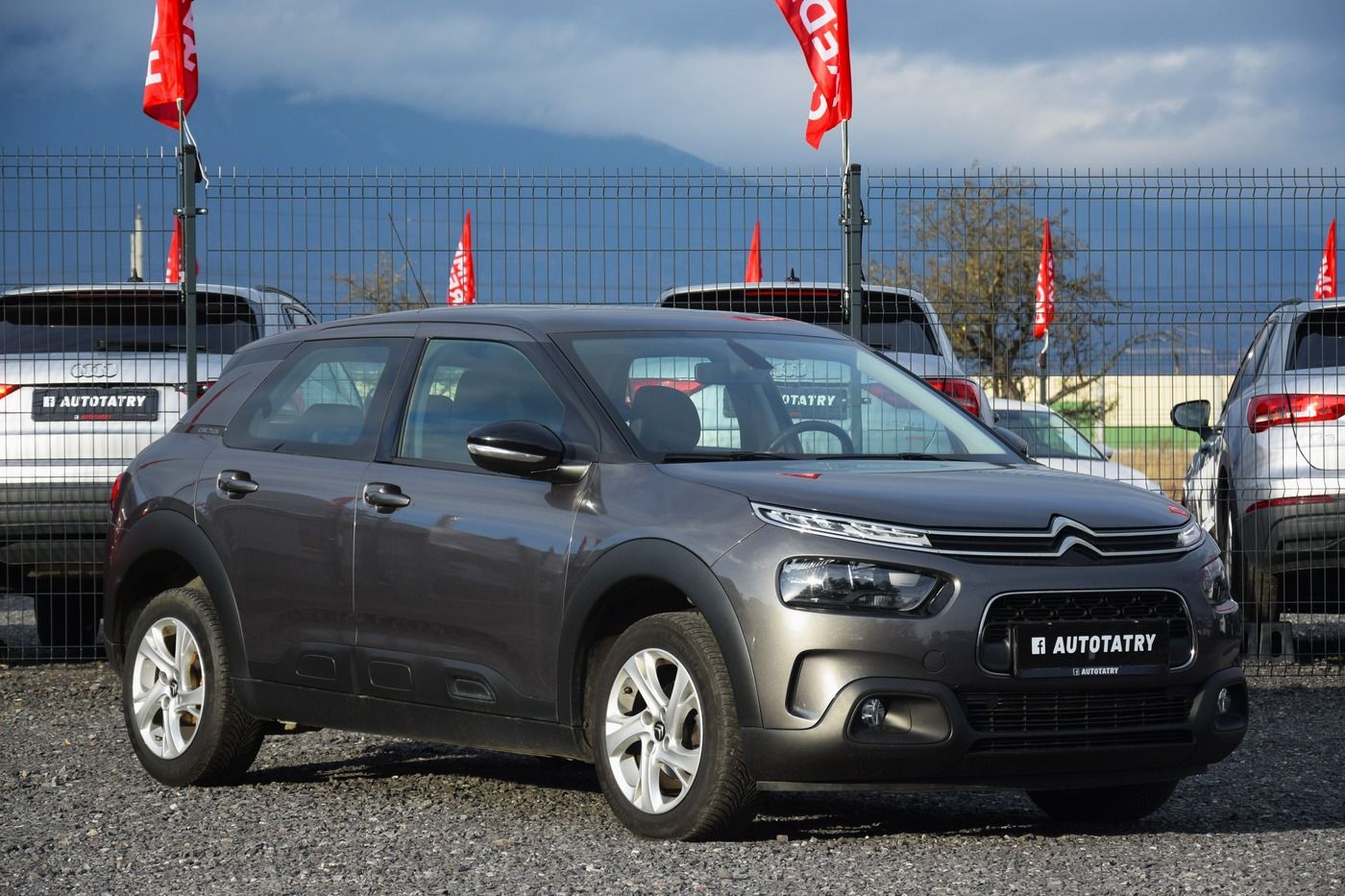 Citroen C4 CACTUS